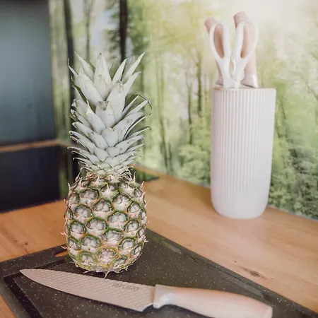 Daire Helles Bergblick Luxus Braunlage