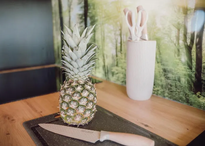 Апартаменты Helles Bergblick Luxus Браунлаге